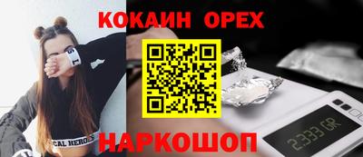 гашик Моздок