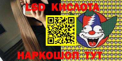 гашик Моздок