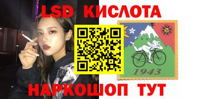 гашик Моздок