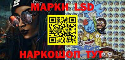 гашик Моздок