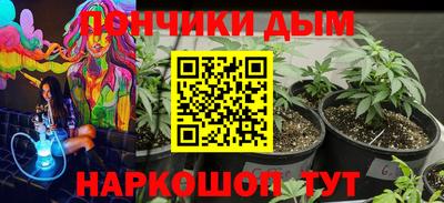 гашик Моздок
