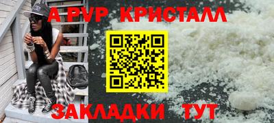гашик Моздок