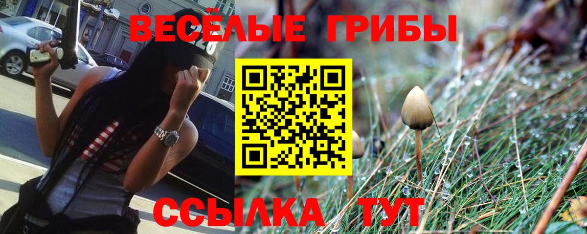 Галлюциногенные грибы MAGIC MUSHROOMS Ярославль