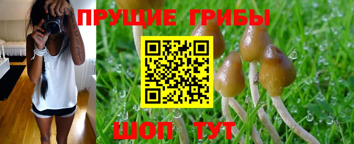 Ярославль  Псилоцибиновые грибы мицелий  где продают наркотики  Вход с VPN 